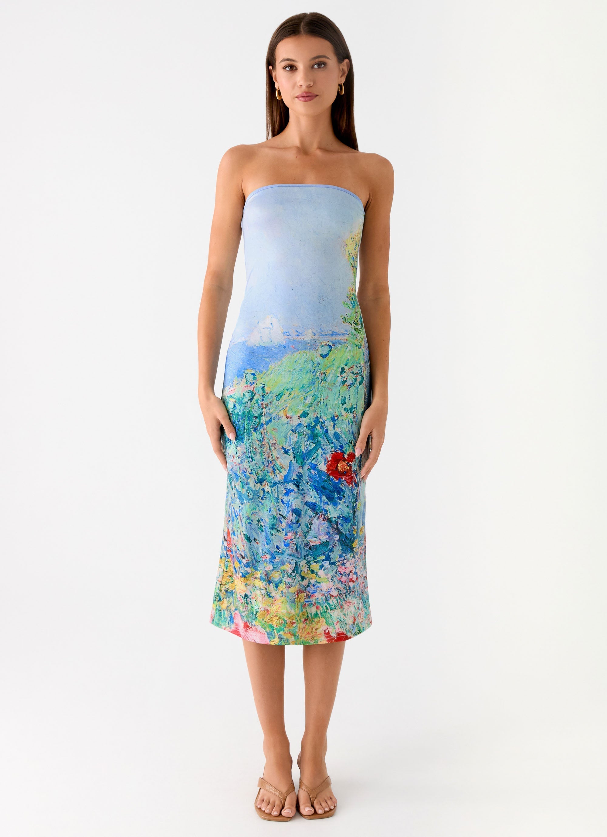 Niko Strapless Midi Dress - Spring Garden